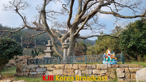 신안 흑산 무심사지 삼층석탑 석등 전경.png