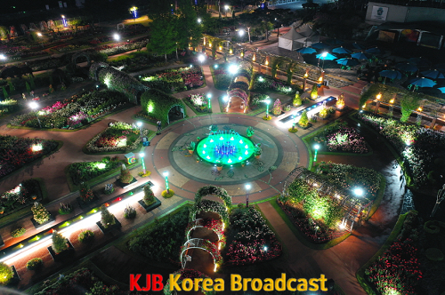 야간 장미 2.png