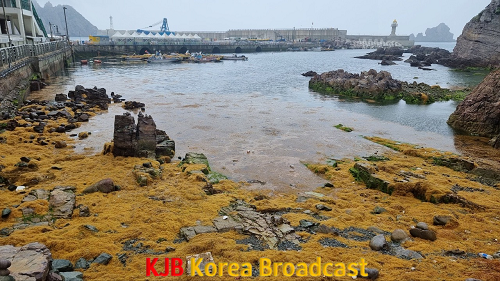 사진 2.png