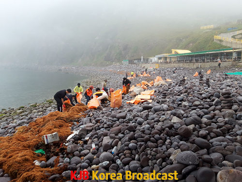 정화활동 사진1.png
