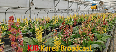 보도(새우란배양장전경).png
