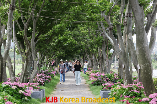 환상의 정원.png
