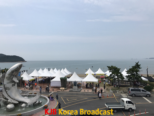 19년도 축제 전경.png