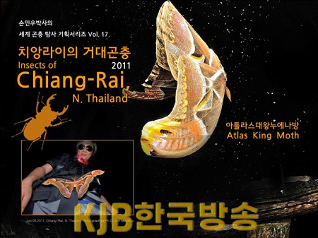 곤충.png