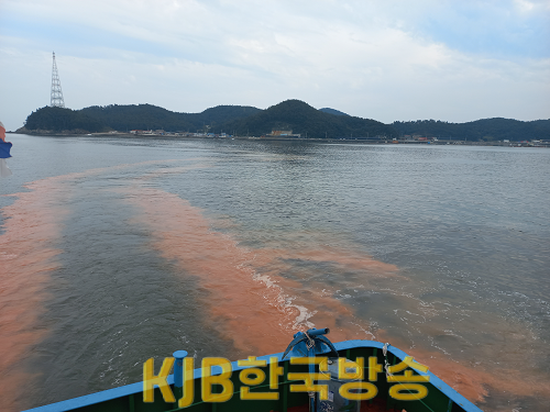 완도군, 적조주의보 발령 방제 활동 실시(약산 어두리 해역 황토 살포) (1).png