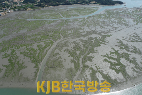 갯벌(신안 압해도)2.png