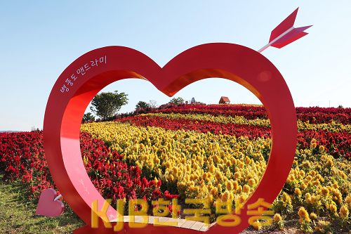 맨드라미 (1).png
