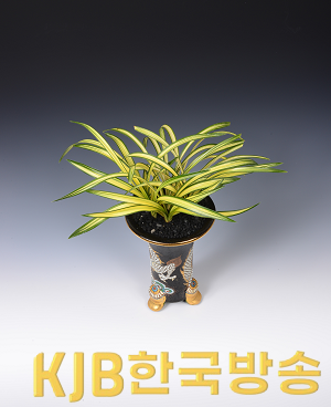 대상 수상작 - 중투(아가씨).png