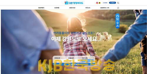 8-4. 강원 댕댕여지도 홈페이지.PNG