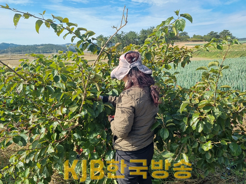 체험1.png