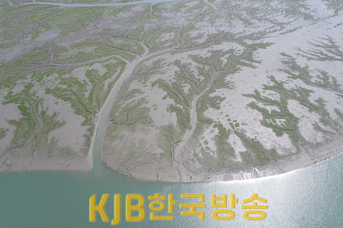 신안 압해도 갯벌.png