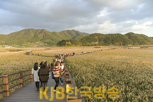 2.순천만습지2.png