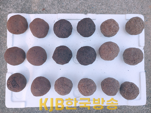 액젓김황백화_사진_2.png