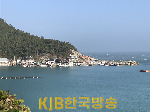 지방어항 건설- 완도 신흥항2.png