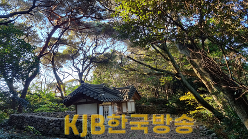 4.홍도 2구 석기기마을 당산림과 당집.png