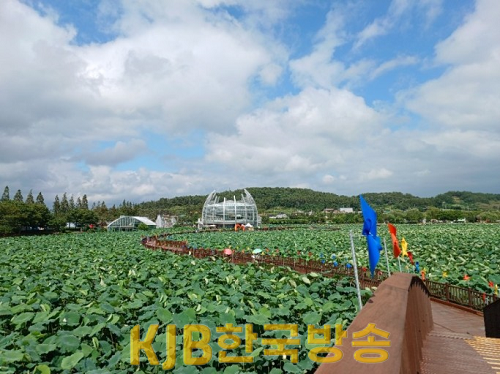 무안군, 국내외 단체관광객 유치 여행사에 인센티브 지원 확대1.png