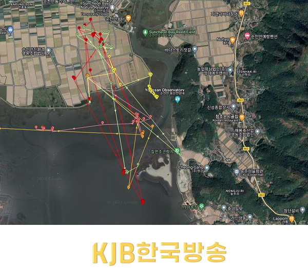 위치추적기로 추적한 흑두루미 이동경로(영농단지내).png