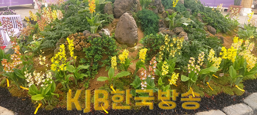 새우란전시관.png