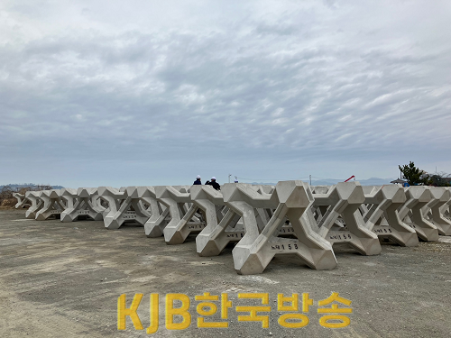 어초사진(2).png