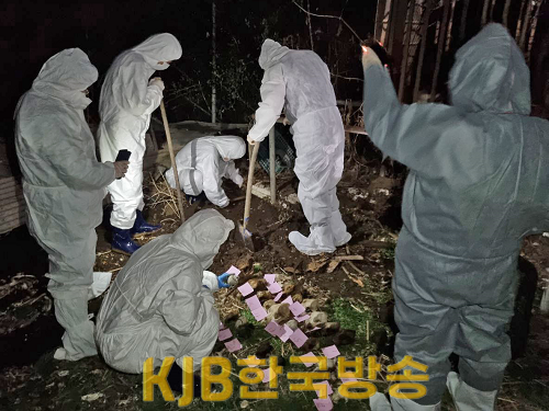 사진자료.png