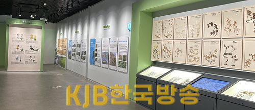 4.신안자생식물뮤지엄.png
