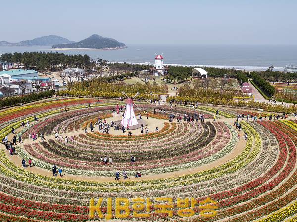20220416_임자_튤립_4.png