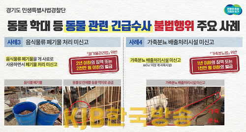 그래픽보도자료_2.png