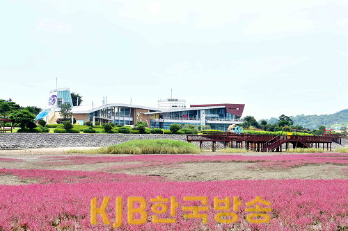 무안 갯벌 칠면초 군락지.png