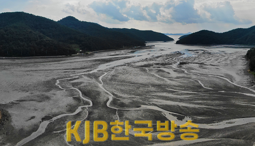 한국의 갯벌 2단계 등재(여수갯벌).png