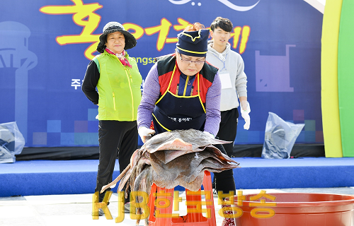 영산포 홍어축제 홍어 탑쌓기.png