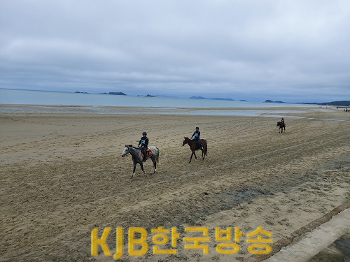승마대회 (3).png