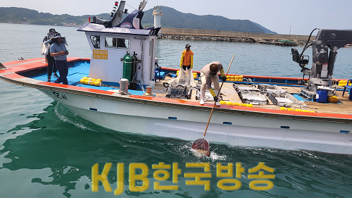 6.12 - 통영시, 볼락 치어 40만미 바다목장 등 방류 2.png