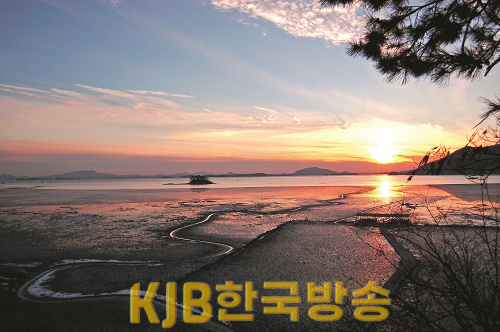순천갯벌.png