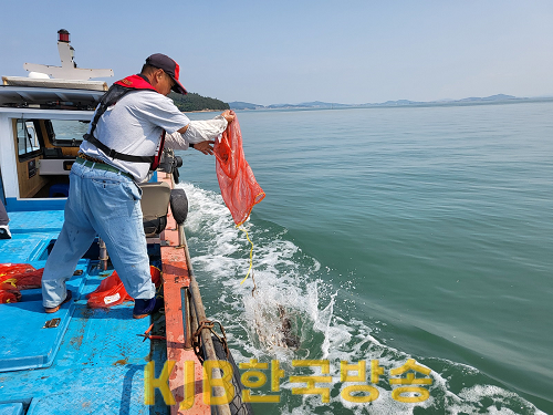 낙지방류 (2).png
