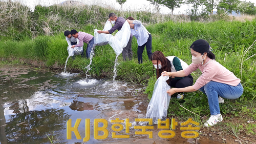 1.금강천_뱀장어 방류 (2).png