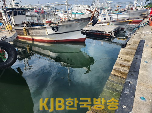 해양오염 주변에 정박된 어선들.png