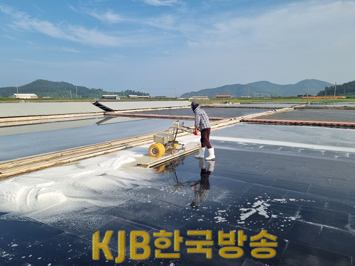 천일염생산 (1).png