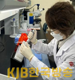 캡처1.PNG