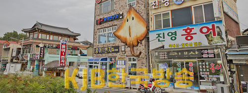 나주 영산포 홍어거리1.png