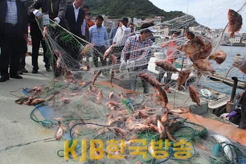 불볼락 축제 (3).png
