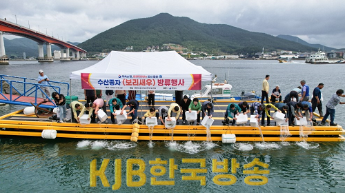 9.15 - 통영시, 보리새우 종자 약 64만 미 용남 장평해역 방류 1.png