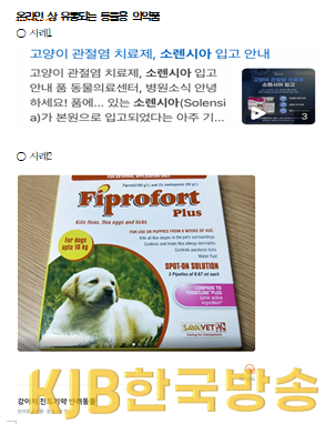 캡처1.PNG