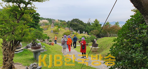 송백분재 전시 (2).png