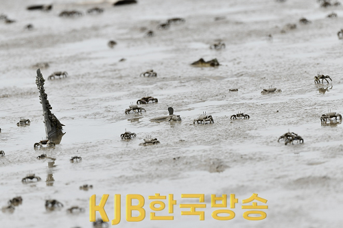 노둣길 철거 (3).png
