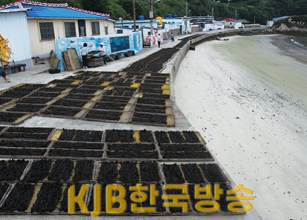 국가중요어업유산 (3).png