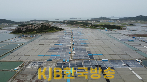 문화유산 (4).png