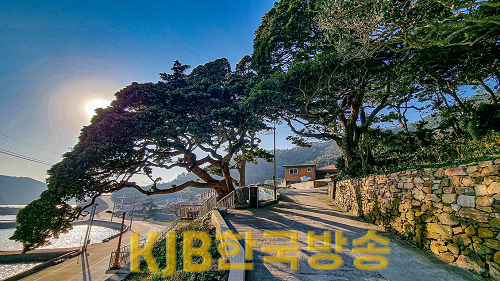 사진 (3).png