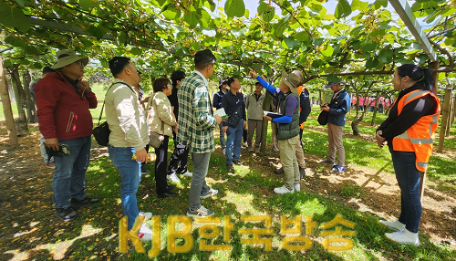 1-2. 보성군, ‘보성키위’ 이제 유통시스템 개선과 홍보로 승부_뉴질랜드 제스프리 농장에서 재배환경과 생산농법 확인.png
