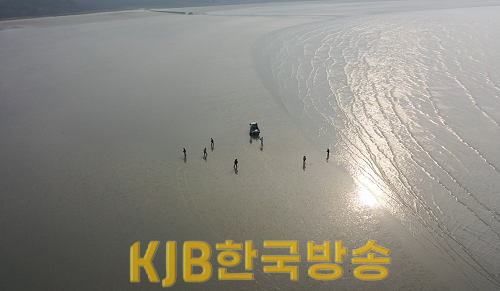 백합 방류 (2).png