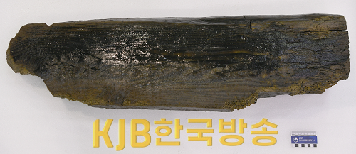 마도 해역 출수 고려시대 선체편.png